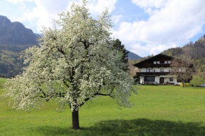 Apartments in Kramsach/Tirol 452